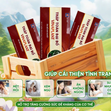 Thập Toàn Đại Bổ (H/30 gói)-Vinaplant